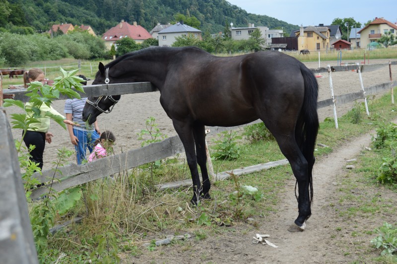 Tábor A je to! 9790