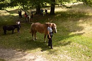 Tábor A je to! 14208